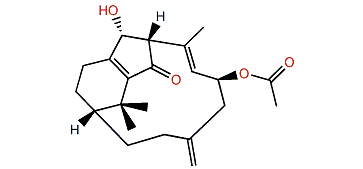 6-O-Acetylcespitularin F